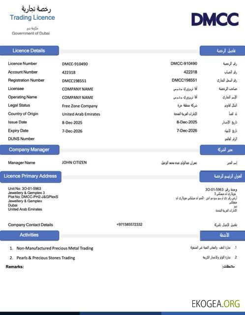 Modèle Word et PDF de licence commerciale des Émirats arabes unis à Dubaï, version 2